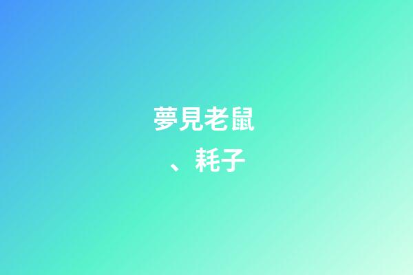 夢見老鼠、耗子